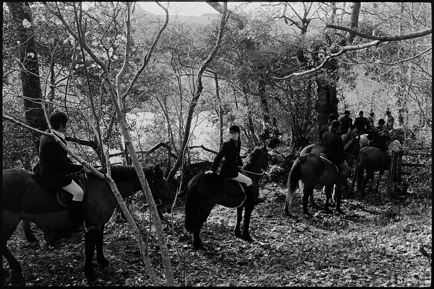 Hunters, horses and followers waiting for a scent, listening for hounds. 
[Huntsmen and riders in woodland at Halsdon, Dolton.]