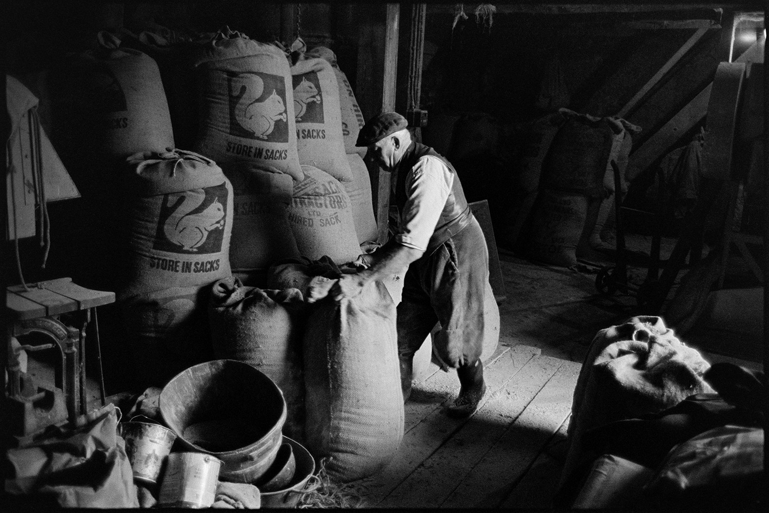 Farmer grinding corn in barn, ancient Elizabethan building sacks piled high. 
[Mr Pearce with sacks of corn piled up in an ancient Elizabeth barn in Monkokehampton. Buckets are visible in the foreground.]