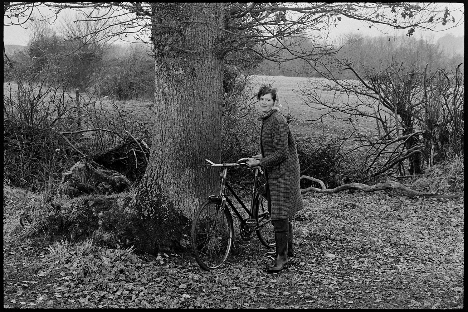 Woman checking sheep, bicycle in field. 
[A woman posing with her bicycle by a tree in Monkokehampton. A hedge and field can be seen in the background.]