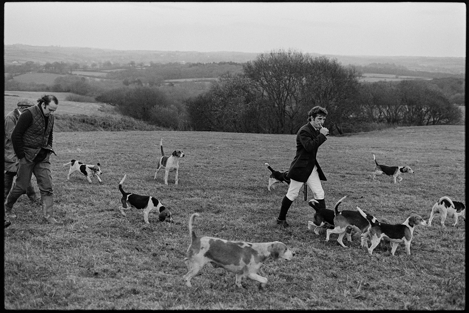 Foot Beagles on moor with followers. 
[Men hunting with Beagles on Hatherleigh Moor. One of the men is blowing a horn. A landscape of trees and fields can be seen in the background.]