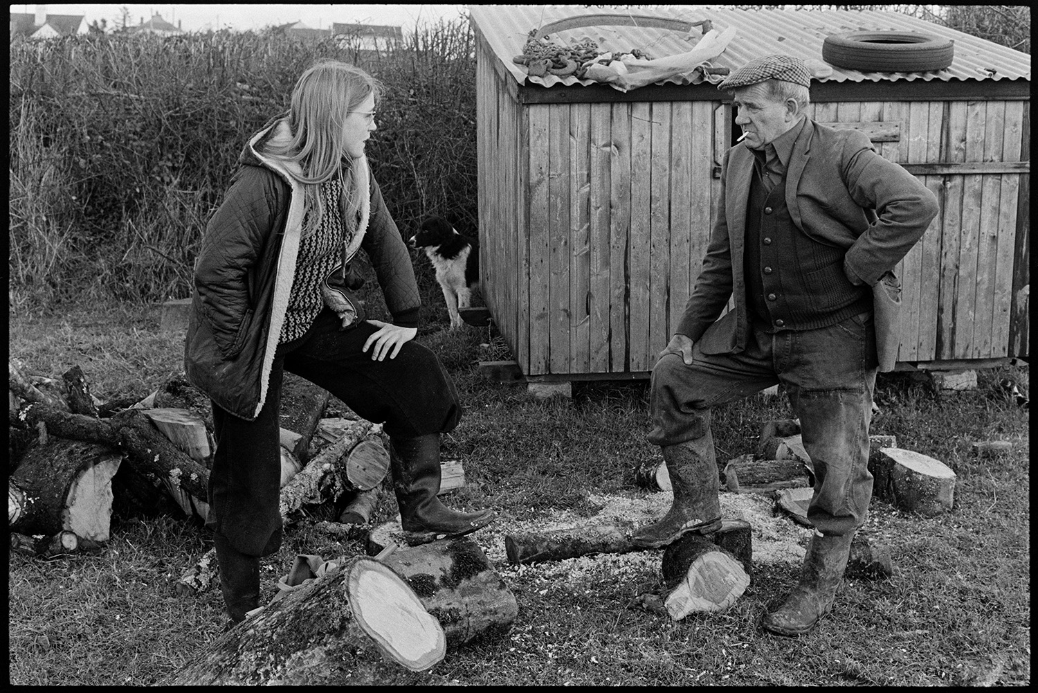Farmer talking to girl in field with logs. 
[Frank Pickard talking to Frances Whistler by a log pile in a field at Dolton. He is smoking a cigarette. A wooden shed with a corrugated iron roof and a dog can be seen in the background.]