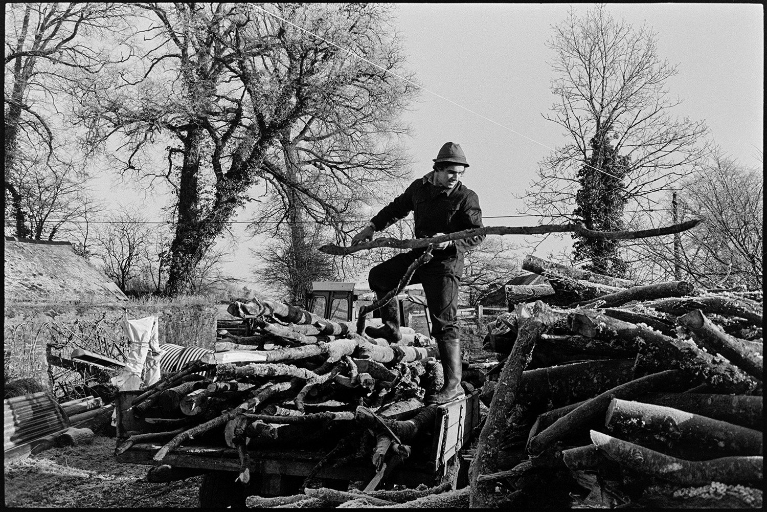 Farmer sorting logs in farmyard. 
[Stephen Squire sorting a logs from a woodpile in the farmyard at Lower Langham, Dolton. Elm trees can be seen in the background.]