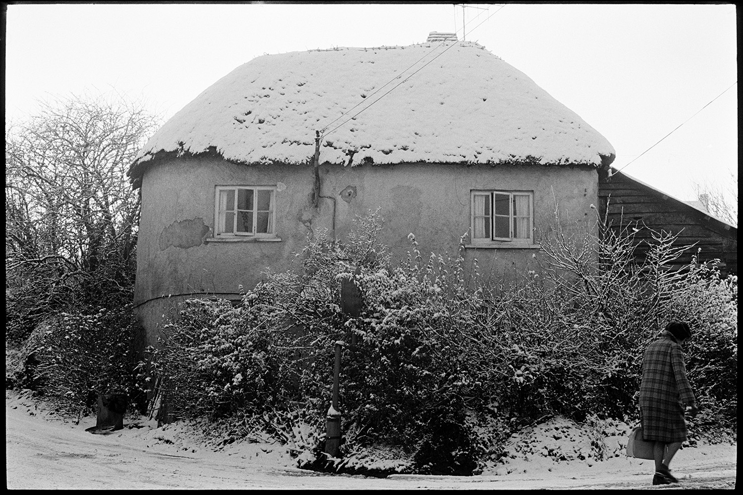 Thatch and cob cottage in snow. 
[A woman walking past a thatch and cob cottage covered in snow in Winkleigh.]