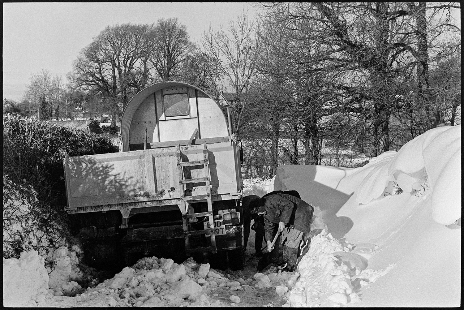 Snow, drift in road, men digging out gritting lorry and spreading from back, small barn in snow. 
[Men digging out a gritting lorry from a snowdrift, using shovels, in a lane at Langham, Dolton. Trees and a hedge can be seen in the background.]