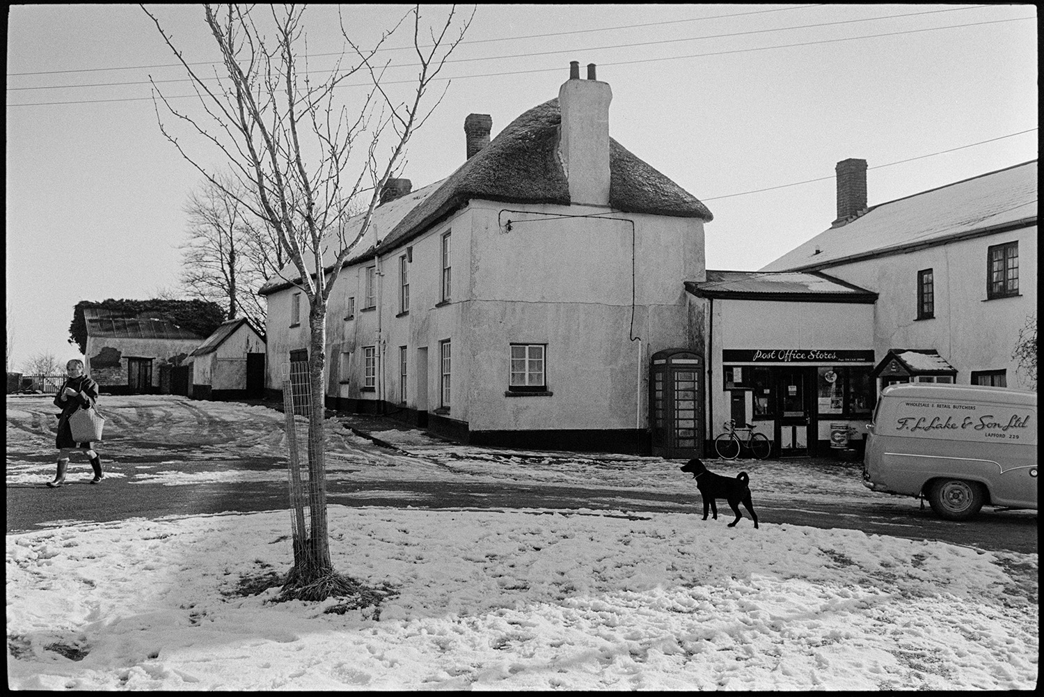 Snow, Butcher delivering meat to Post Office from van. 
[An F L Lake & Sons Ltd butcher's van parked outside the Post Office in Coldridge. A bicycle and telephone box are outside the shop front; and a person and a dog are walking past on the snowy street outside.]