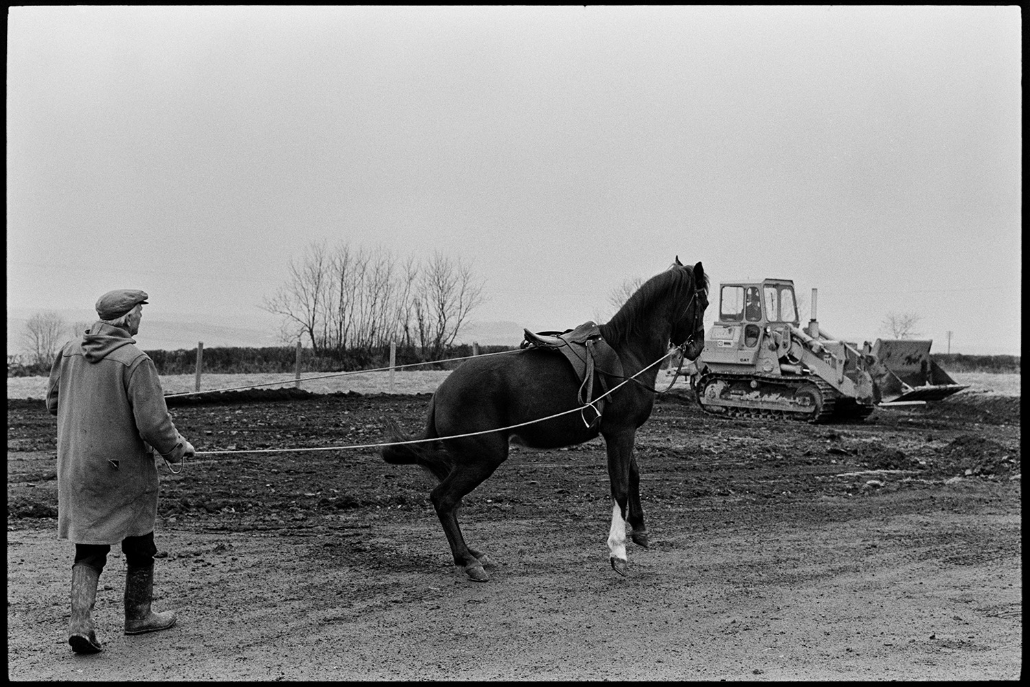 Man training horse getting it to tolerate bulldozer noise. New village hall foundations. 
[Henry Bright training a horse to get used to bulldozer noise in Beaford. The bulldozer is helping dig the foundations for the new village hall in Beaford.]