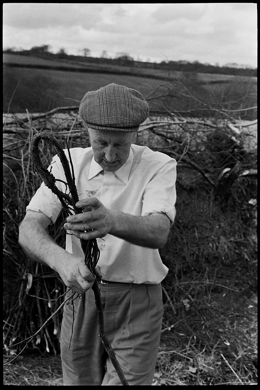 Man making bundles of sticks from hedge cuttings, faggots. 
[Mr Allen measuring and bending a branch to use to tie a bundle of sticks, or faggots, together next to a hedge in Dolton.]