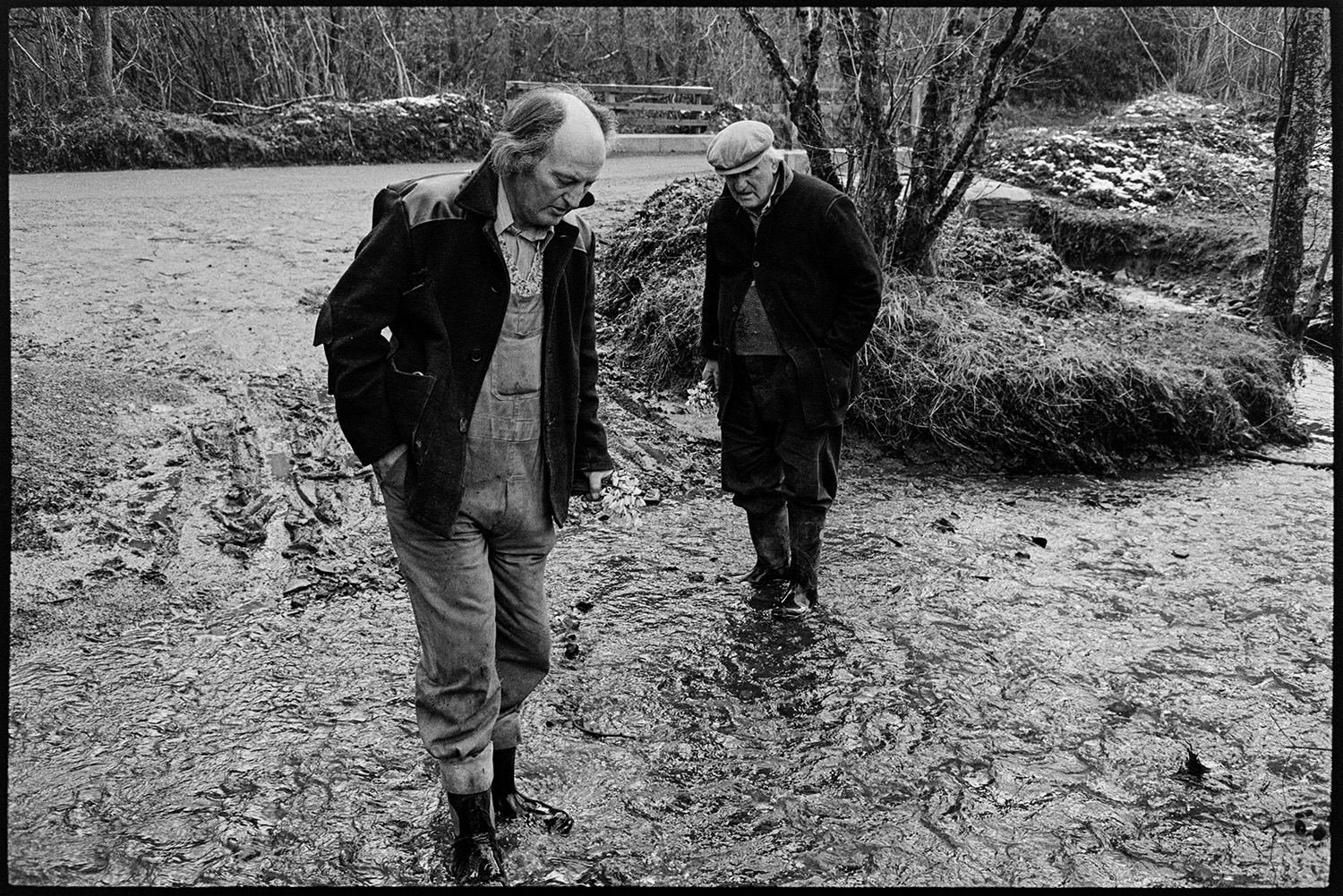 Two men with snowdrops, father and son, standing in stream. 
[Michael Mitchell and his father Lloyd Mitchell walking through a stream at Addisford, Dolton. They are both holding a bunch of snowdrops.]